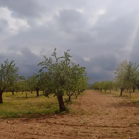 Finca El Carmen * Almagro